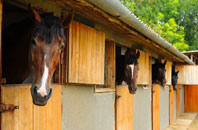 free Bray stable construction quotes